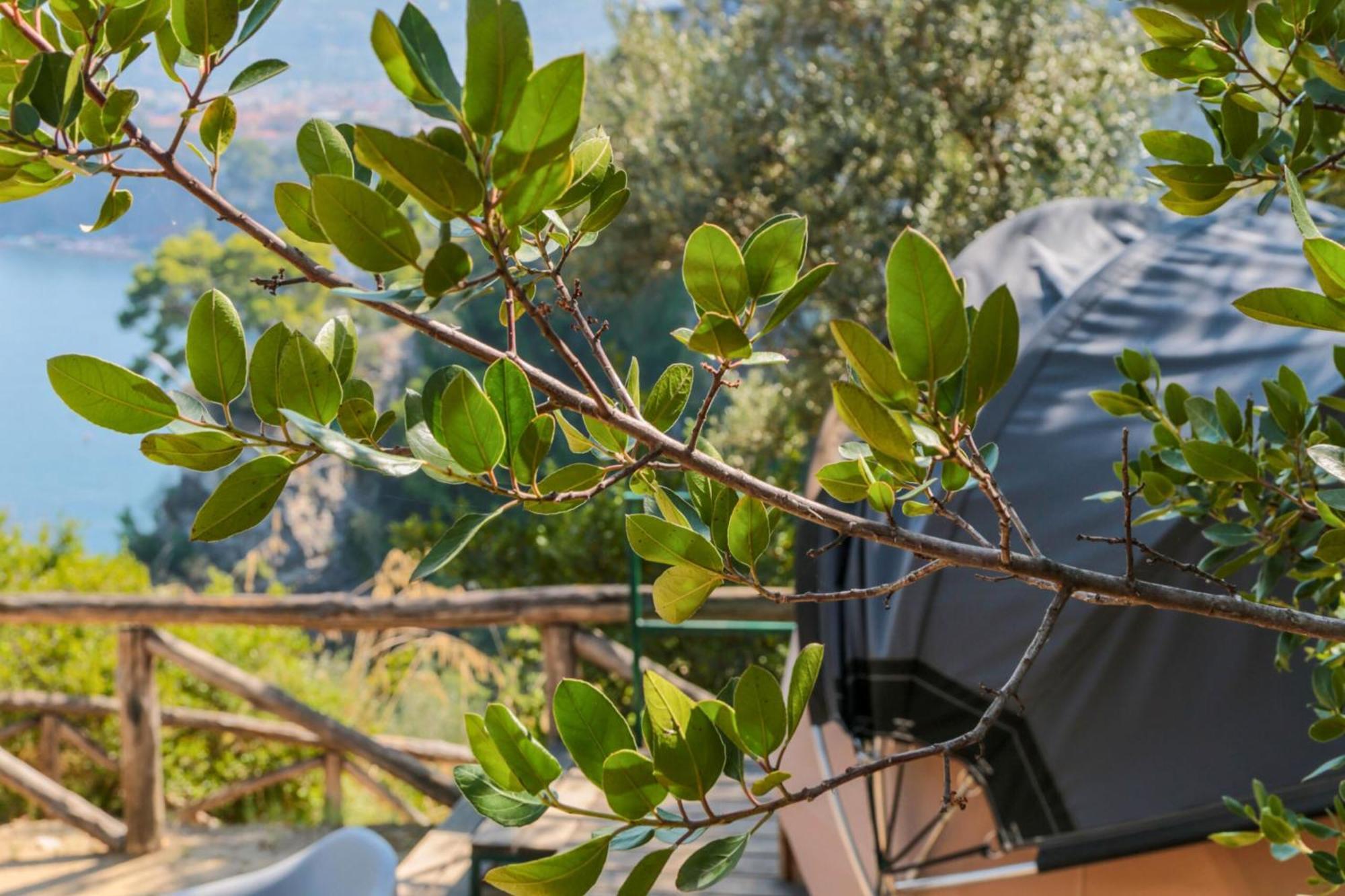 Hostel & Glamping Santa Fortunata Sorrento Eksteriør bilde